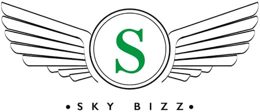 Skybizz
